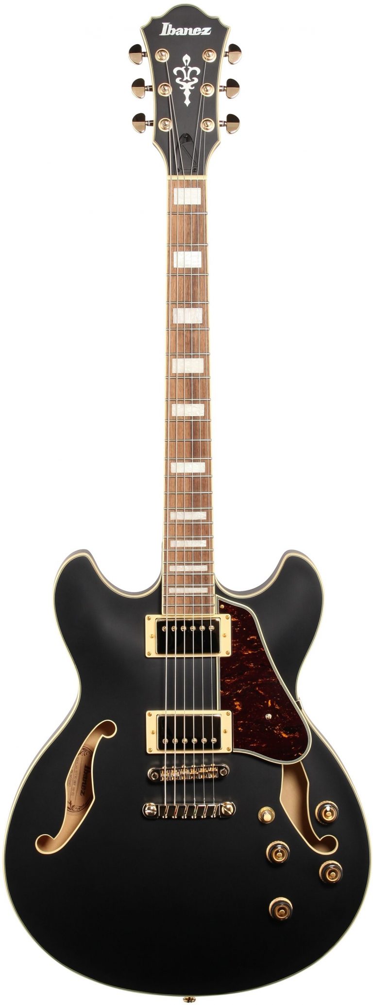 Wide Neck Guitar Ultimate Guide Best Buys (2021) FVMusicBlog