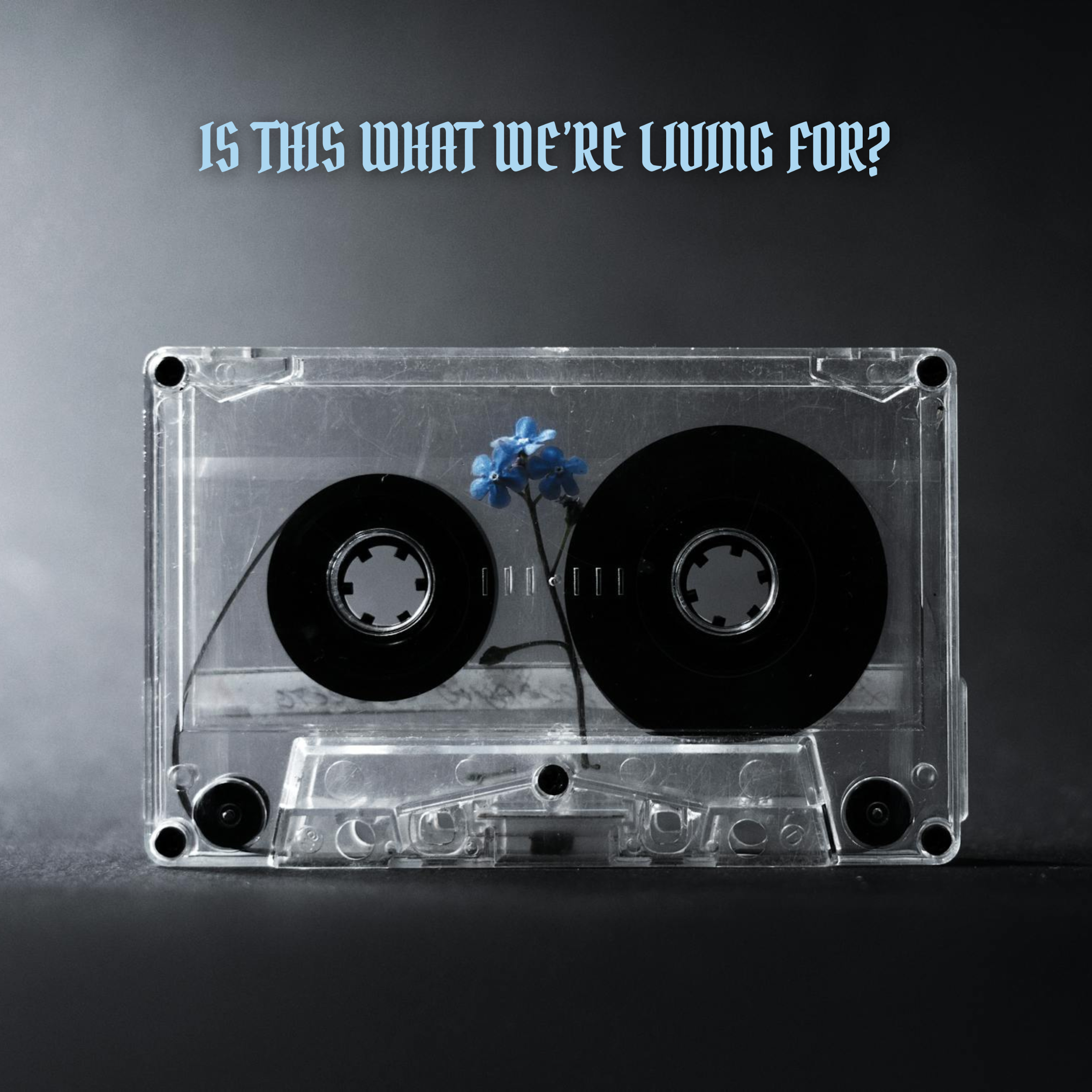 Hot Picks 10/11/24 Part Two  – The Best New Releases