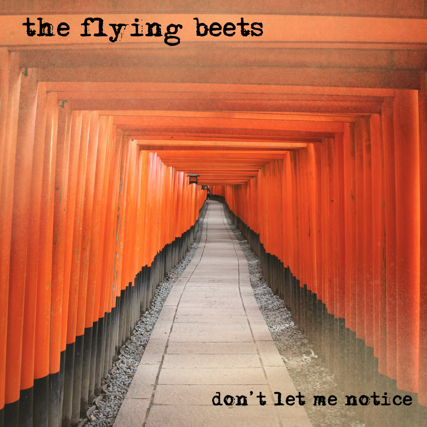 Hot Picks 19/12/24 Part One – The Best New Releases