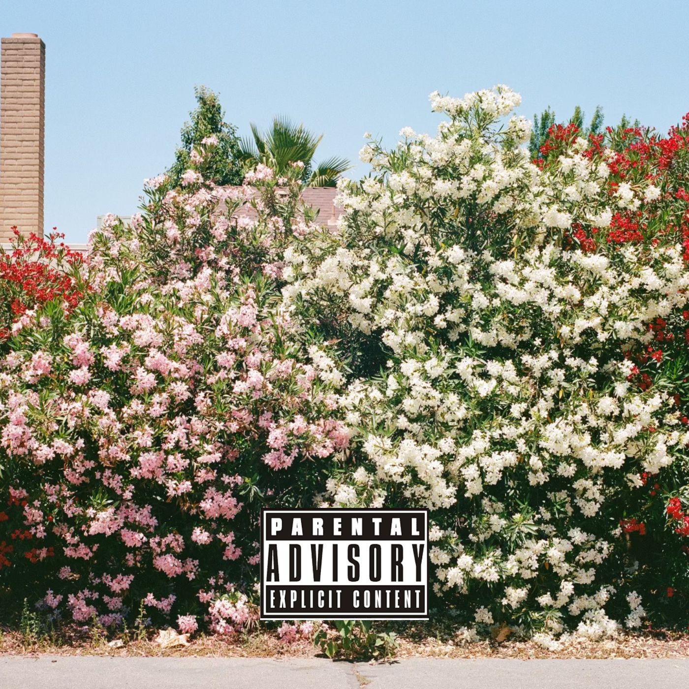 Hot Picks 12/7/25 – The Best New Releases