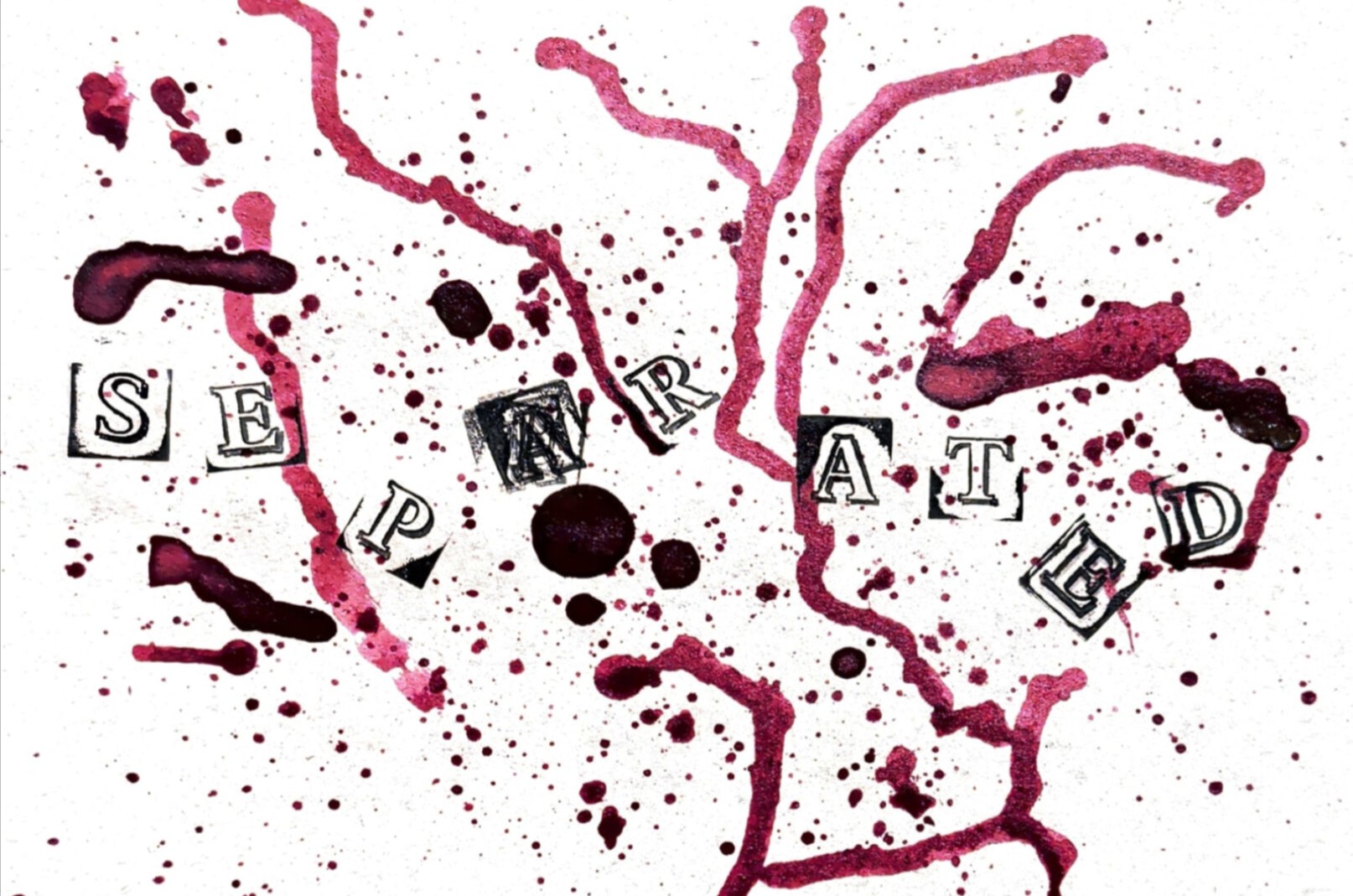 Hot Picks 13/3/26 Part Two - The Best New Releases - FVMusicBlog