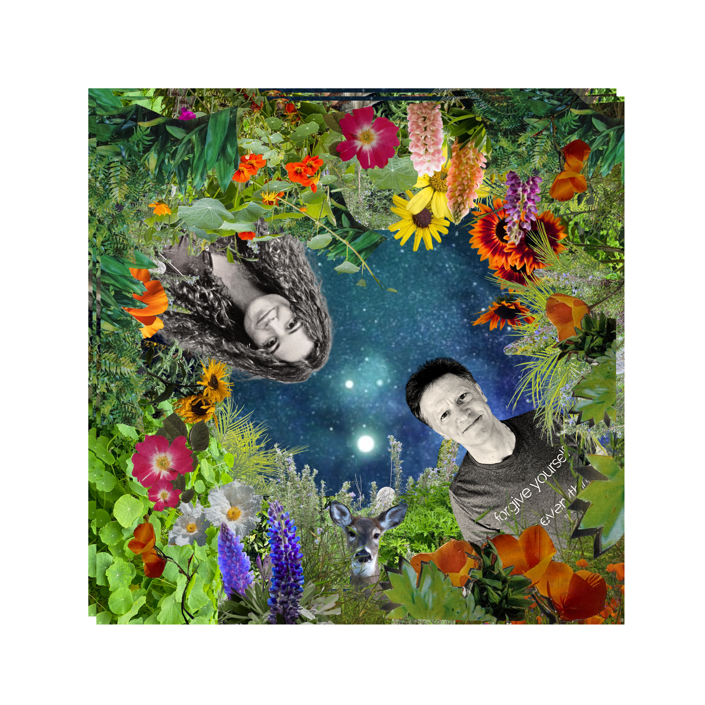 Hot Picks 23/3/26 – The Best New Releases