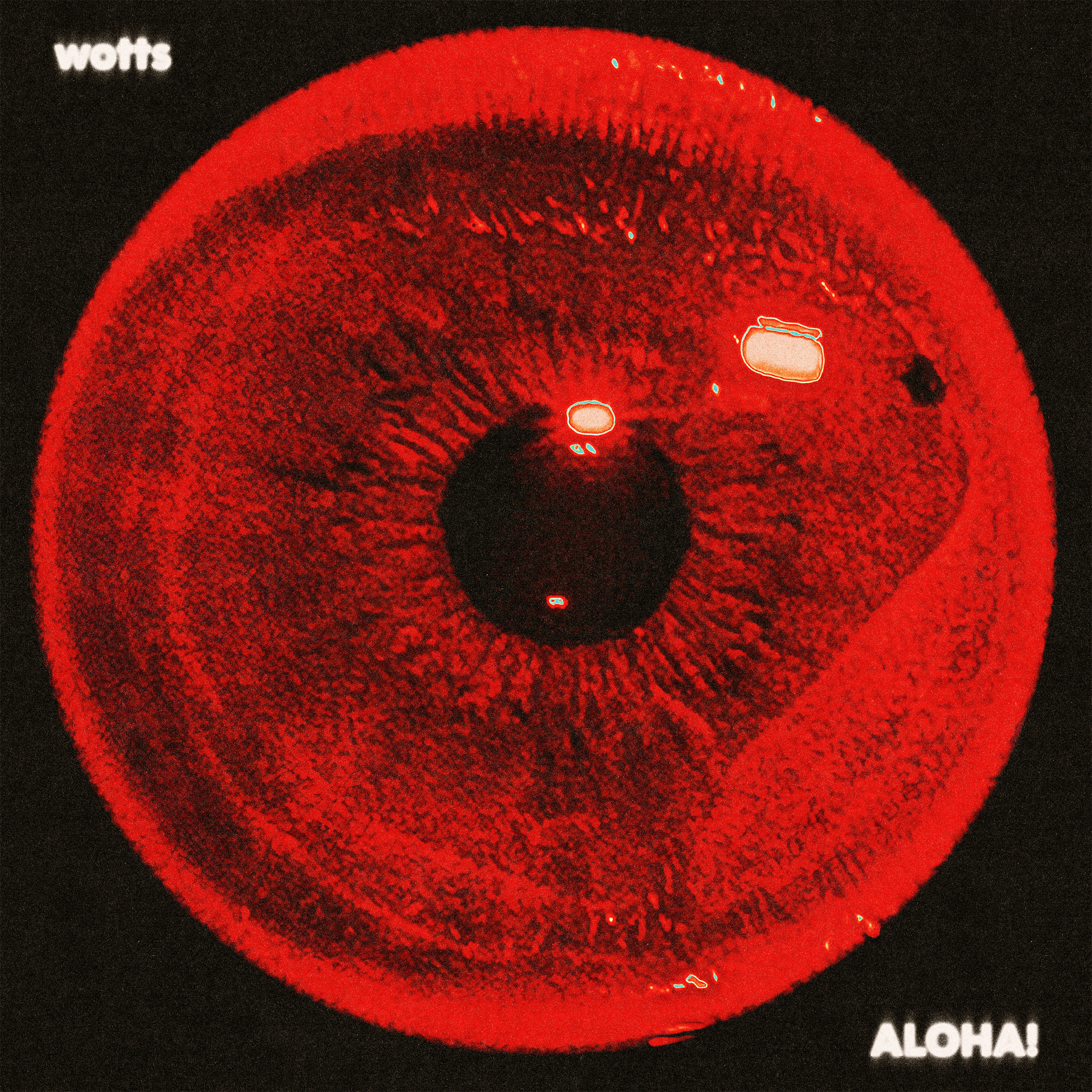 Hot Picks 27/4/26 Part One – The Best New Releases