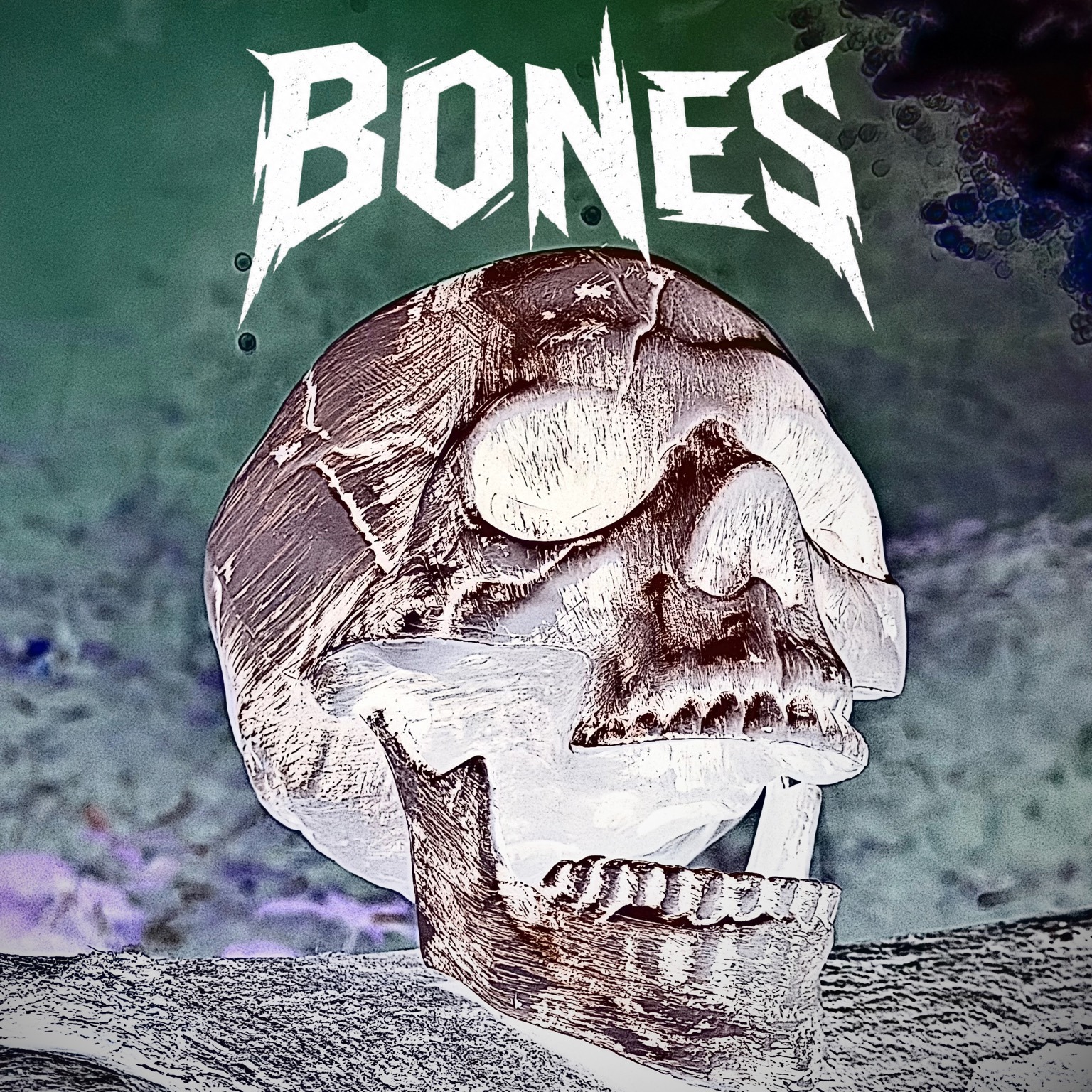 Hot Picks 8/9/26 – The Best New Releases