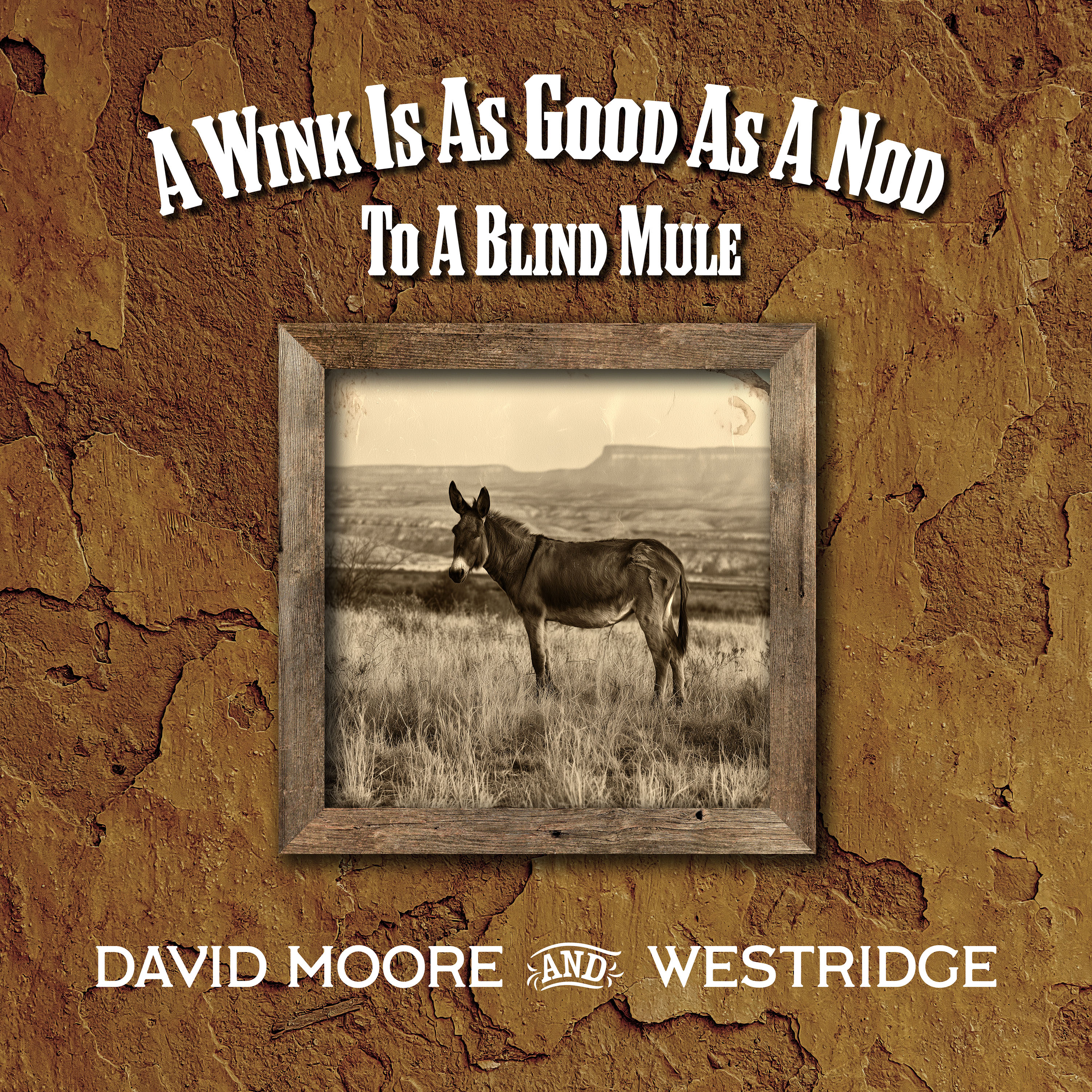 David Moore – A Wink Is As Good As A Nod To A Blind Mule Album Review